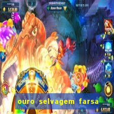 ouro selvagem farsa ouro selvagem o que aconteceu